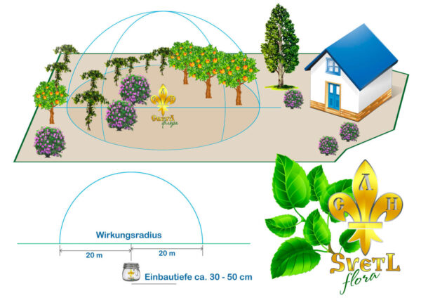 SVETL® Flora für Pflanzen – Bild 2